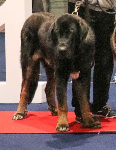 Vinci de la Montée du Col